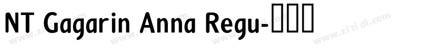 NT Gagarin Anna Regu字体转换